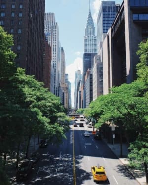 The view up a New York City Street lined with green leafy trees