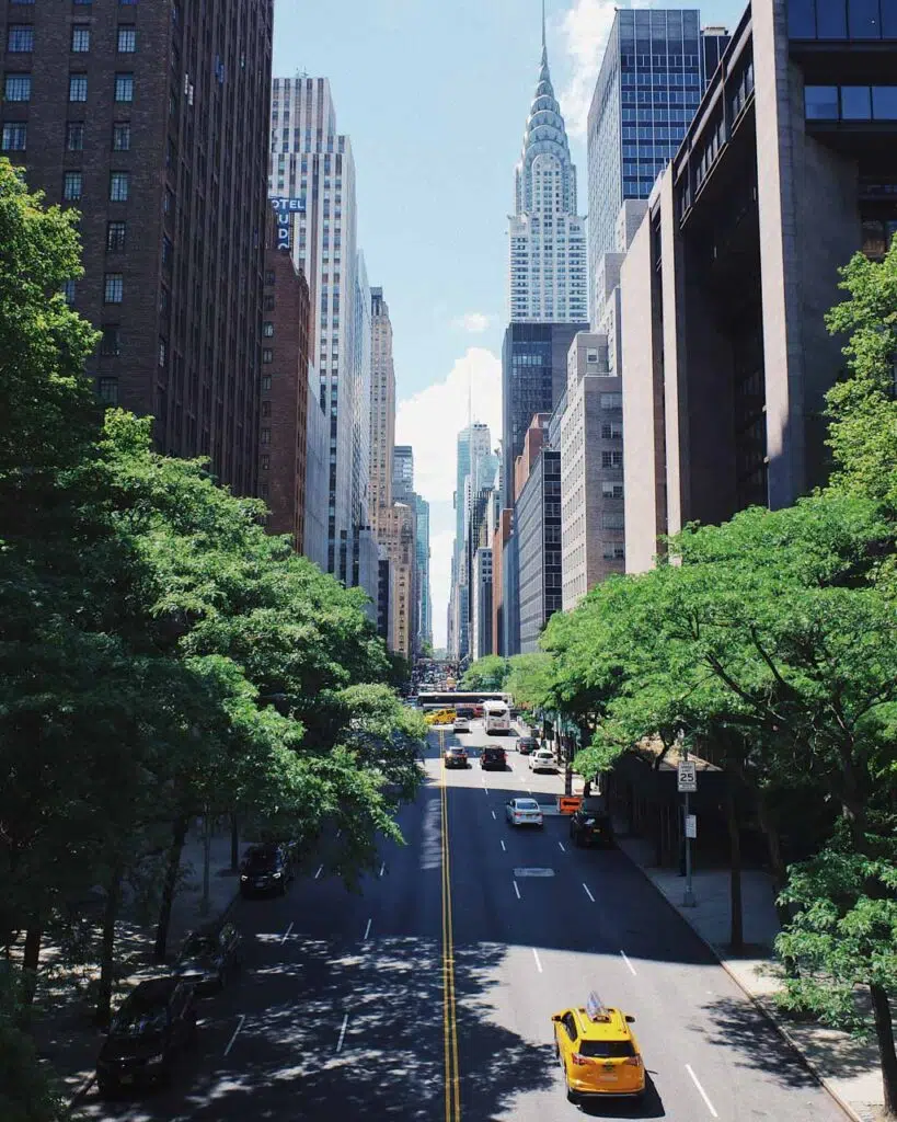 The view up a New York City Street lined with green leafy trees