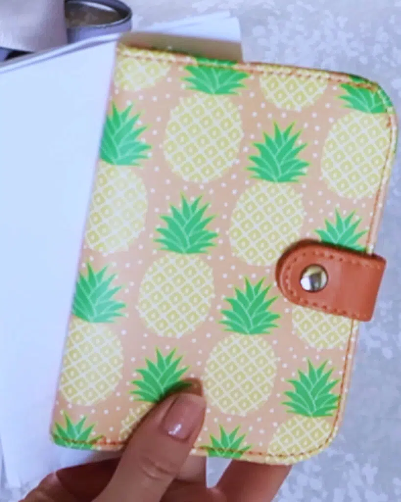 A passport holder decorated with pineapples