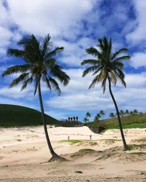 Anakena Beach on Easter Island with a blue sky, white sand and palm trees with a row of moai on the sand behind