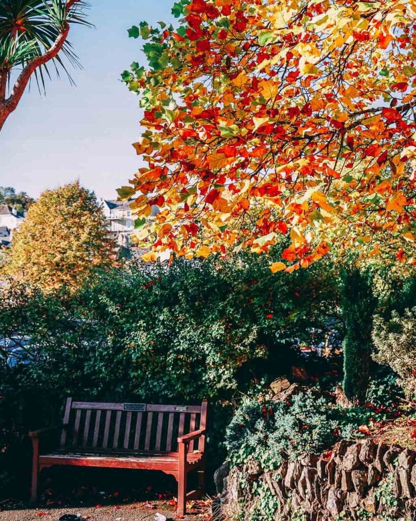 Autumnal leaves on the trees in the part at Dartmouth park