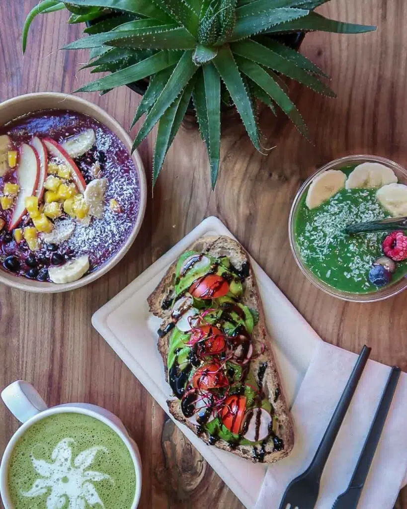 A flat lay of an avocado toast, matcha latte, acai bowl and green smoothie with a green succulent in the frame