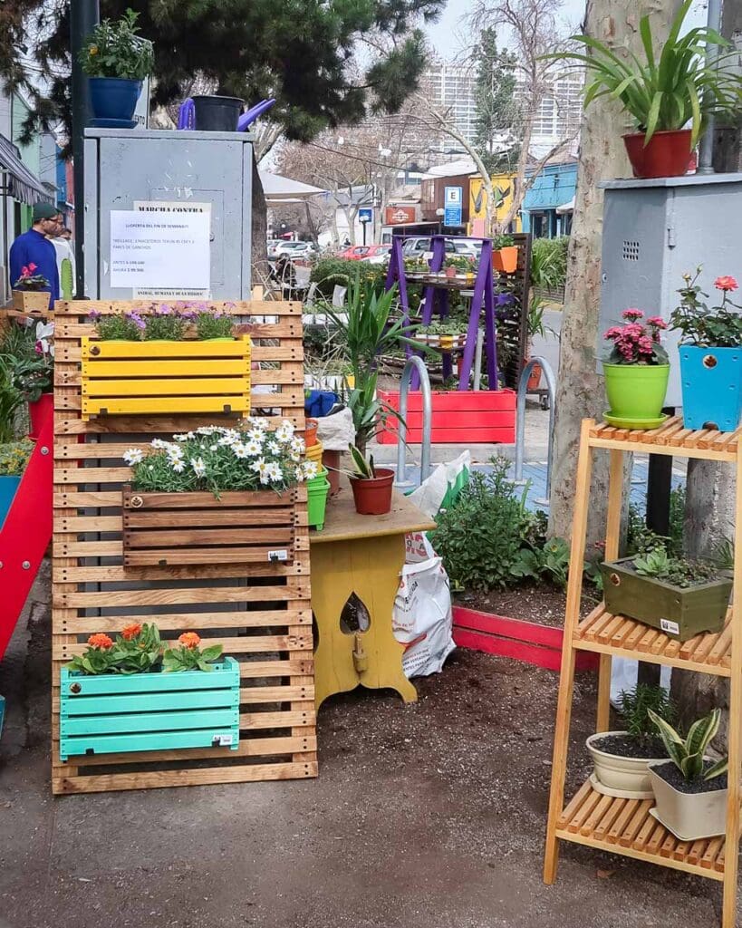 A local shop selling plants outside on the street in Santiago, Chile