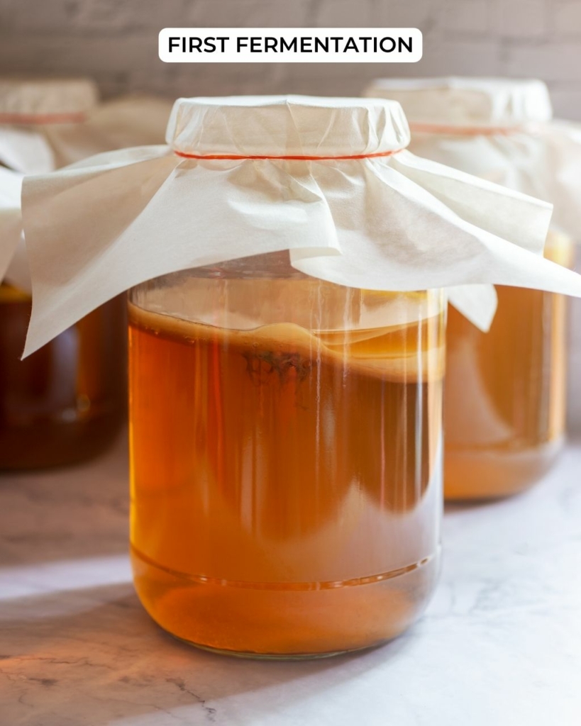 A batch of kombucha undergoing its first fermentation in a large brewing vessel