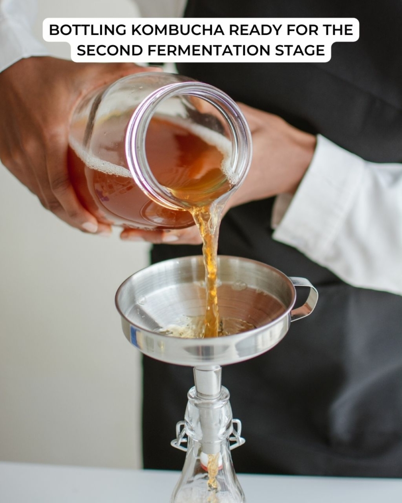 Kombucha being bottled ready for the second fermentation stage