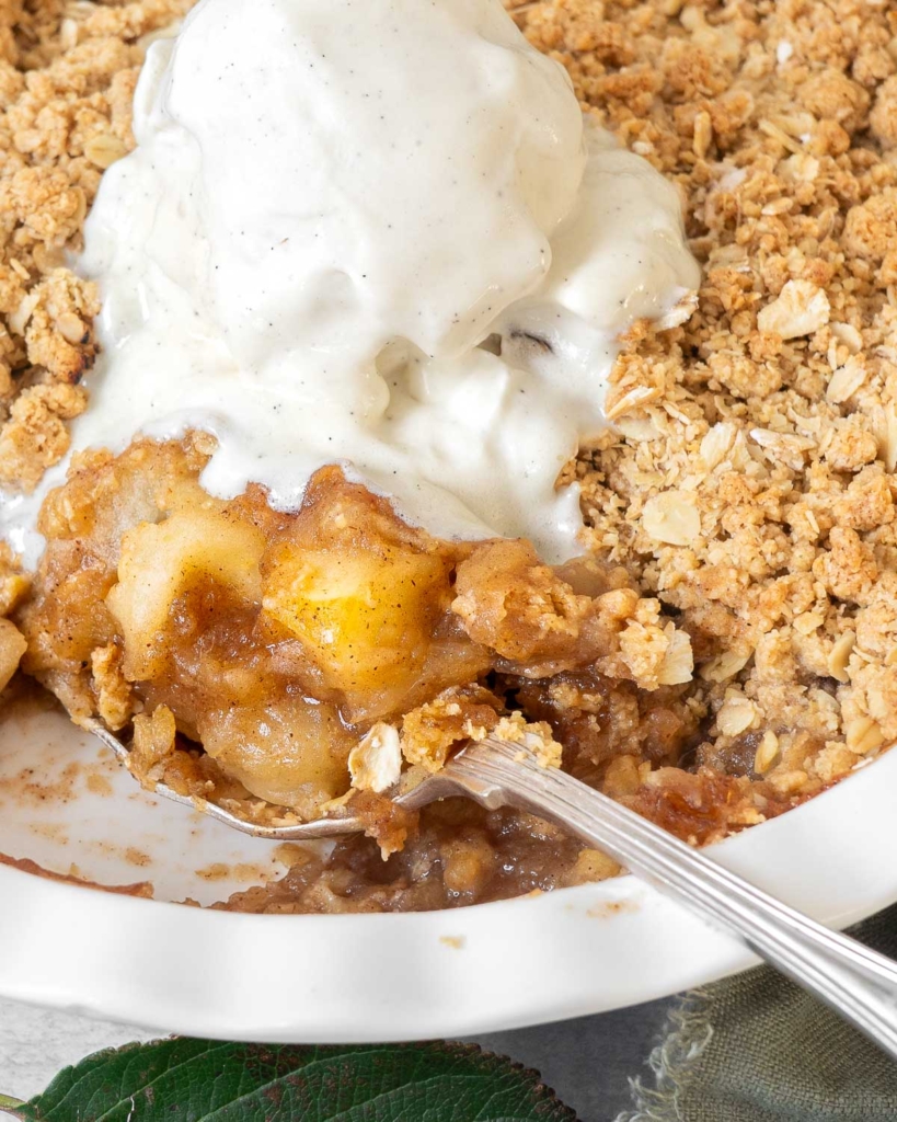 A dish of golden, crunchy apple crumble with oats and a scoop of vegan ice cream melting on top