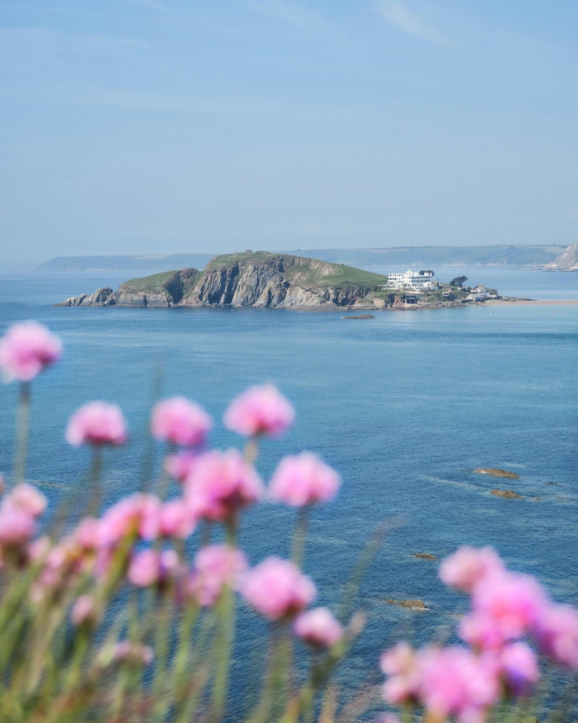 Pink flowers blurred out in the foreground, with the coast of Devon in focus behind it