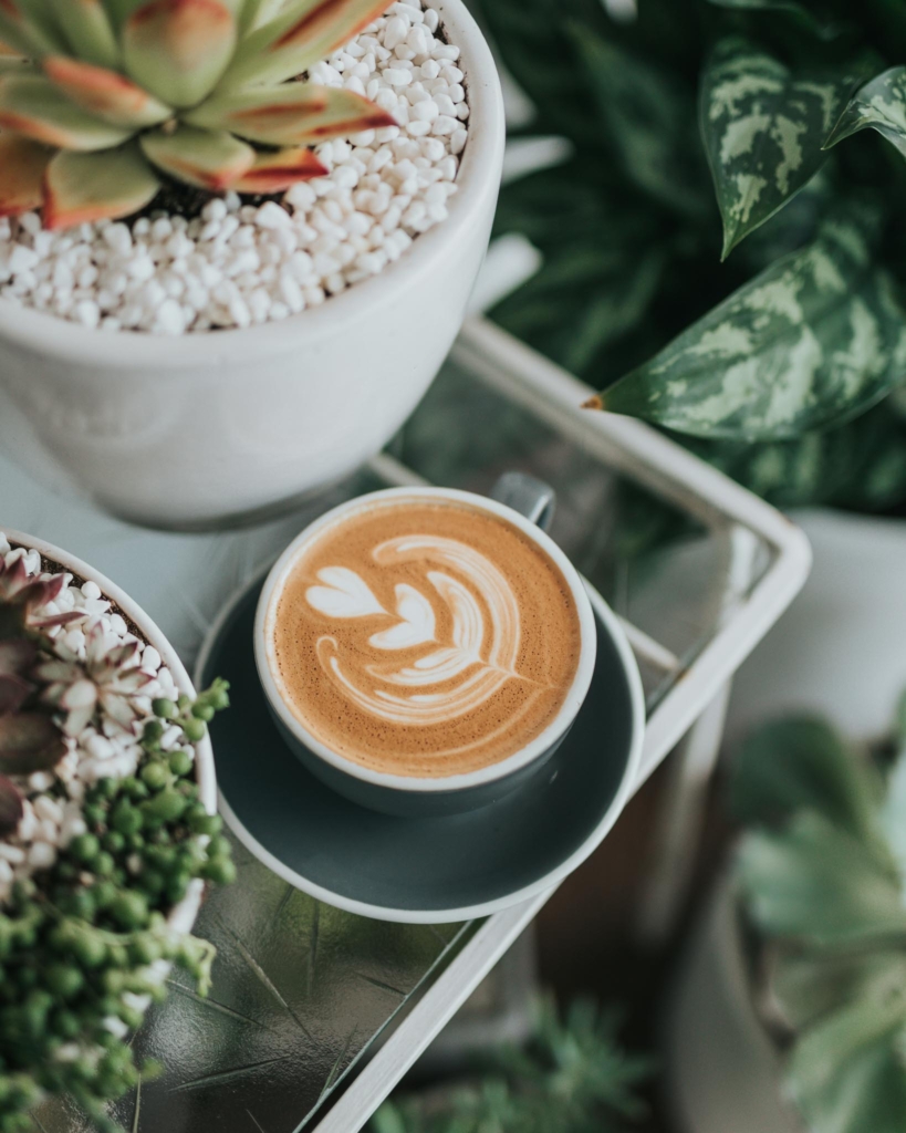 A frothy oat milk cappuccino on a table surrounded by succulent plants