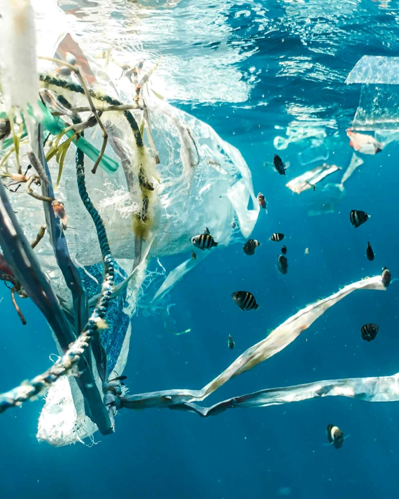 Plastic pollution in the sea with fish swimming around it