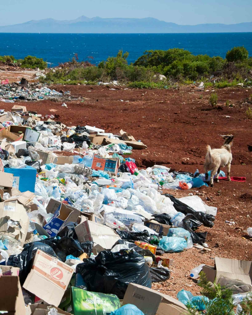 A rubbish tip overflowing with plastic waste, with a goat stood nearby