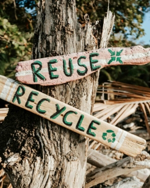 A tree with two signs attached to it saying reuse and recycle