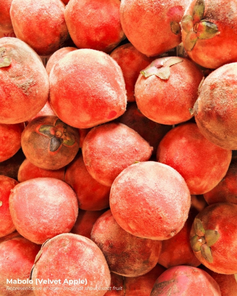 Mabolo fruit