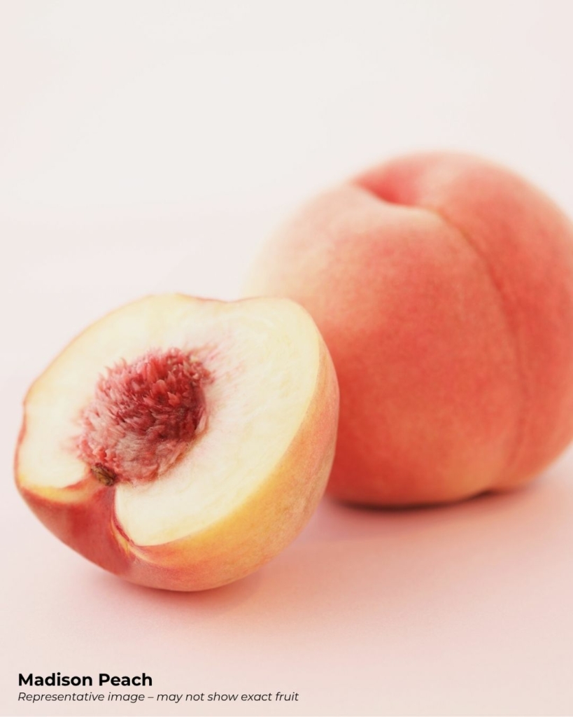 Madison peach