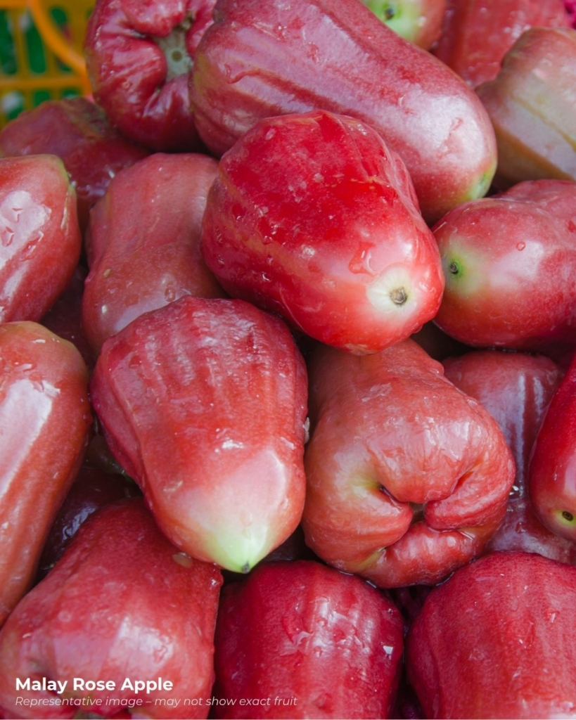 Malay rose apple - an interesting looking fruit that starts with m