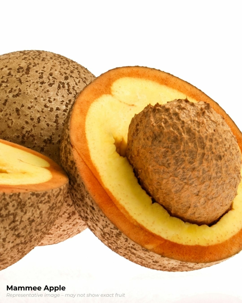 Mammee apple