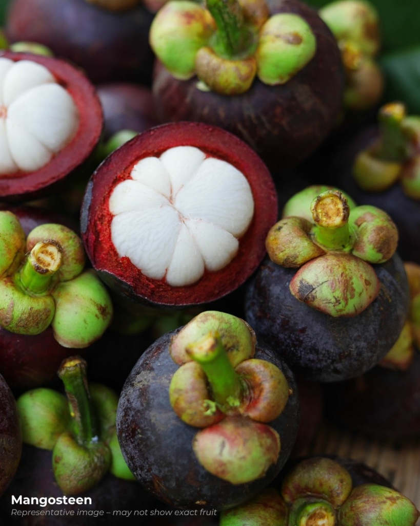 Mangosteen fruits - a pretty purple and white fruit that starts with m