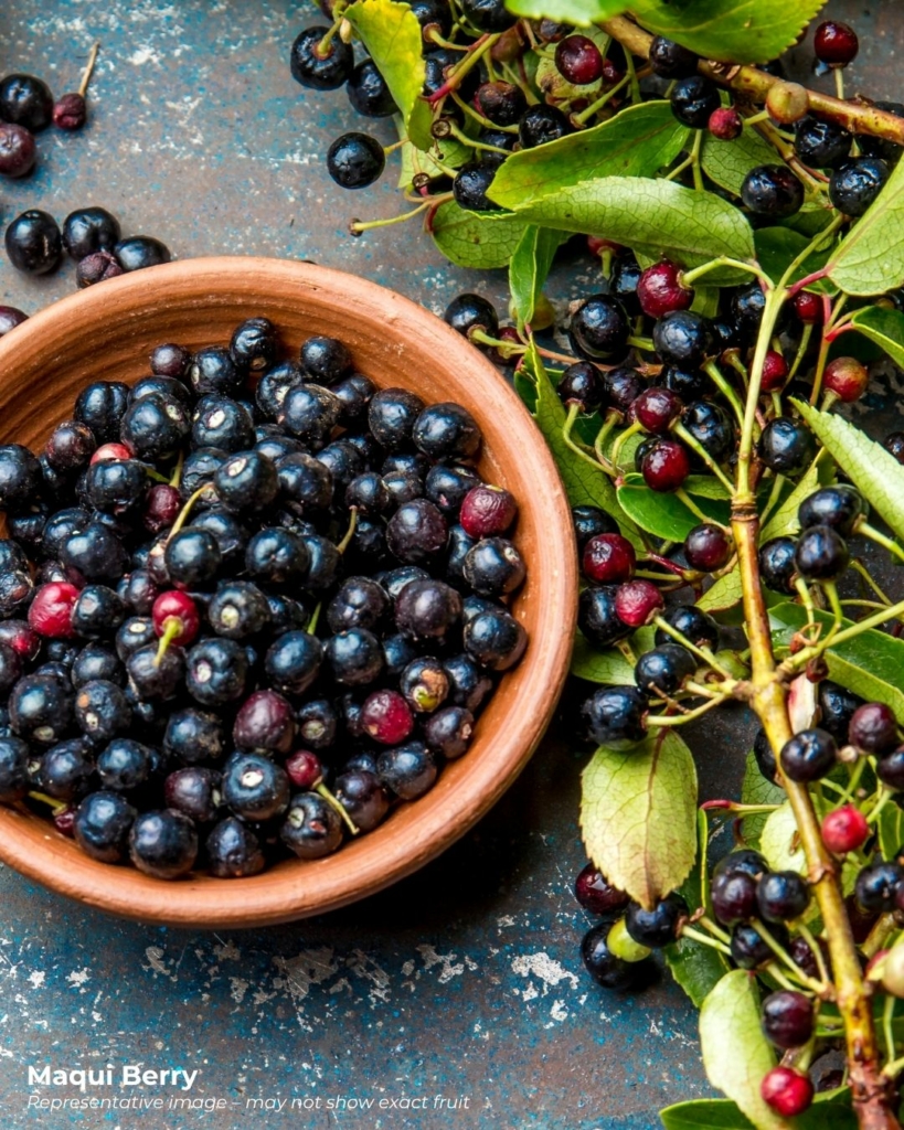 Maqui berries - an increasingly popular fruit that starts with m