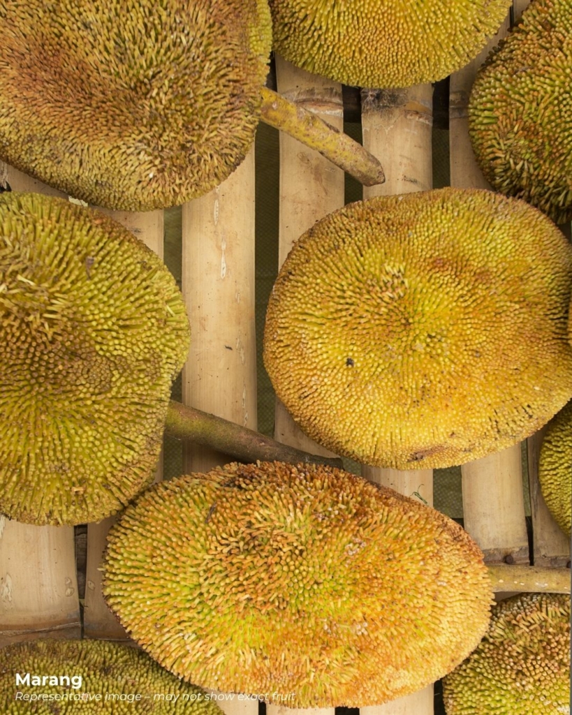 Marang fruits