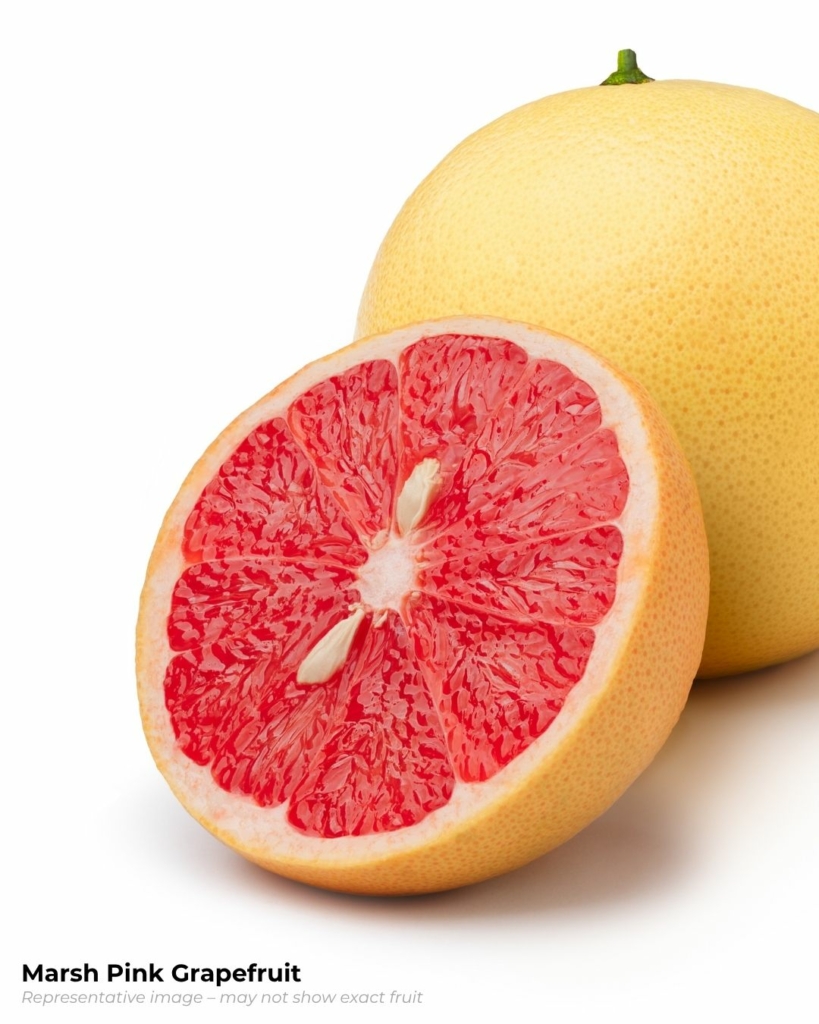 Pink grapefruit