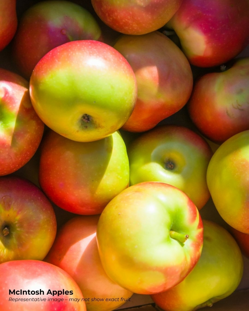 Mcintosh apple - a popular fruit that starts with m
