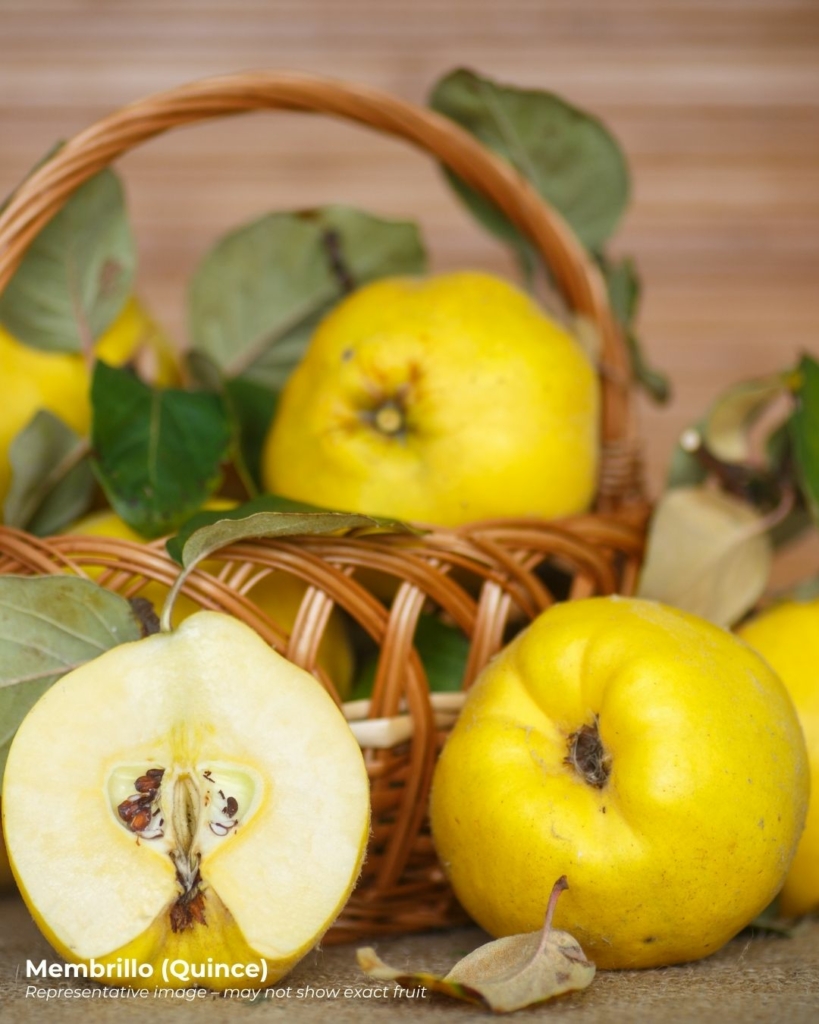 Membrillo quince - a heritage fruit that starts with m