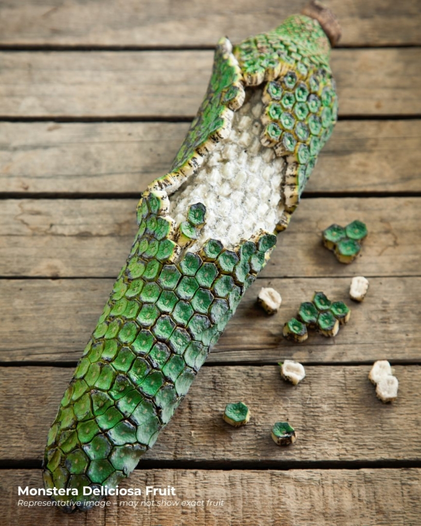 Monstera Deliciosa fruit - a rare fruit that starts with m