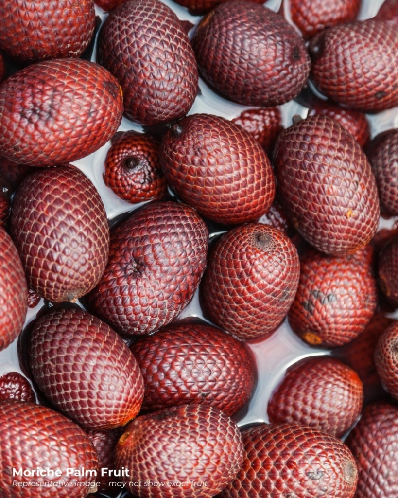 Moriche palm fruit - a rather interesting looking fruit that starts with m