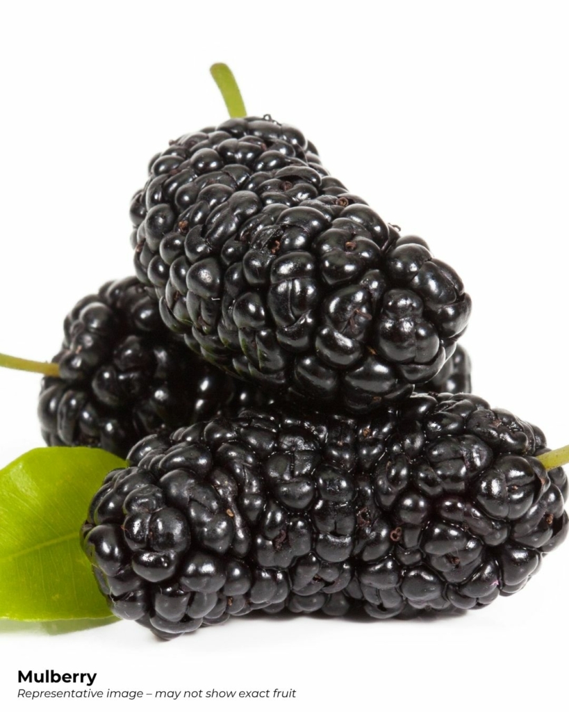 Mulberries - a popular fruit that starts with m