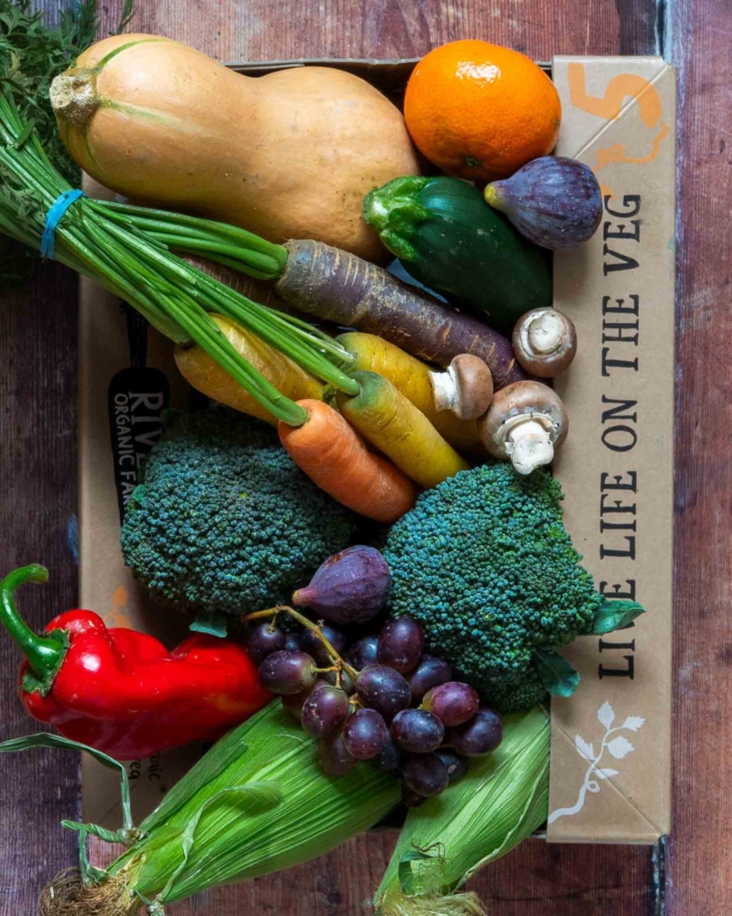 A Riverford box bursting with fresh fruit and vegetables