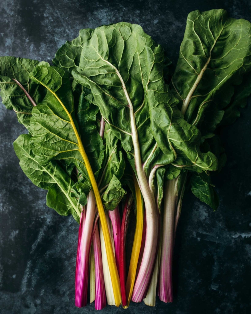 Rainbow chard on a dark background